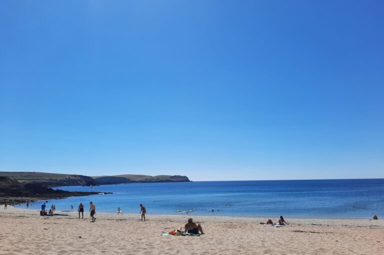 20220810 130703 768x511