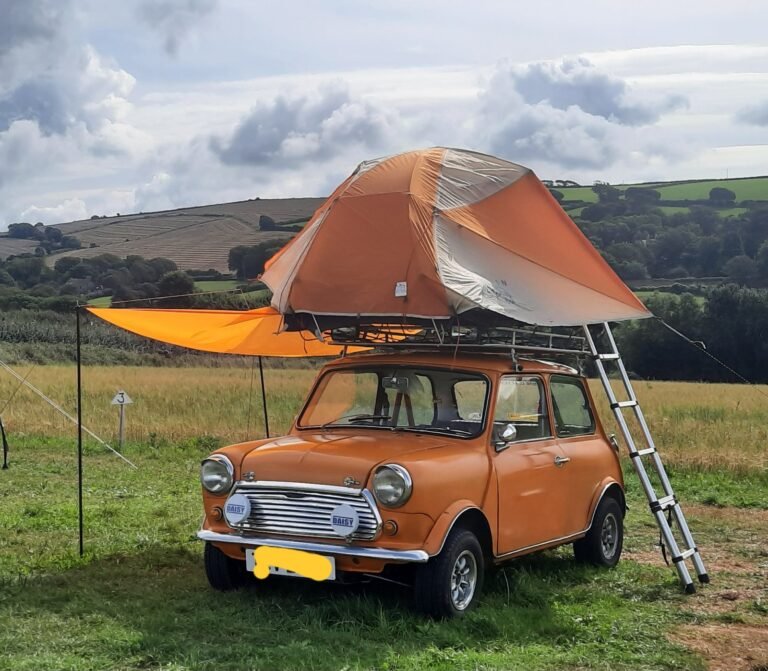 20230826 111736 768x671