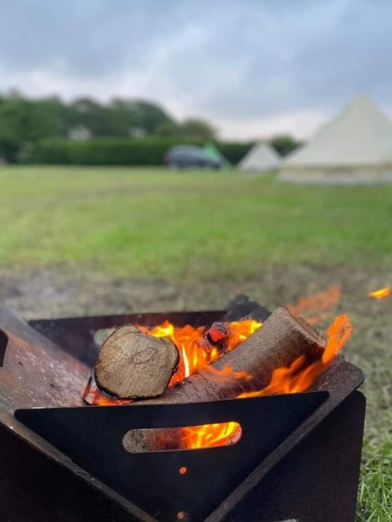 444456155 773203408262320 9221727271245450891 n 768x1021