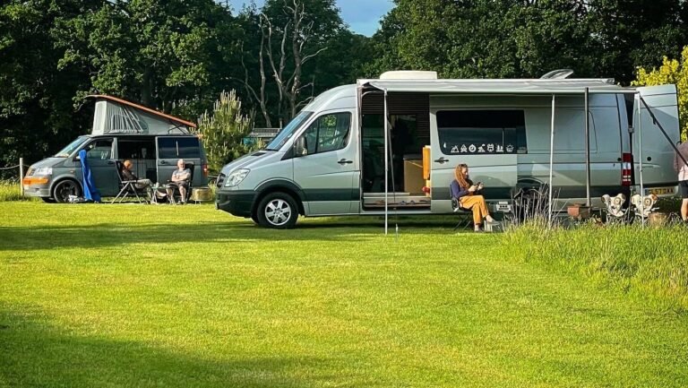 61CD12A5 4159 408E 8BE6 8606B881DA99 768x433