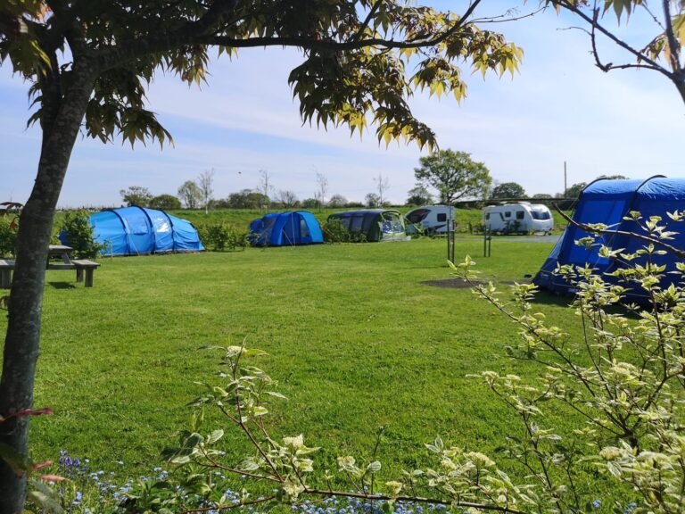 6702444f c464 476b b453 adb3e38bf1f2 768x576