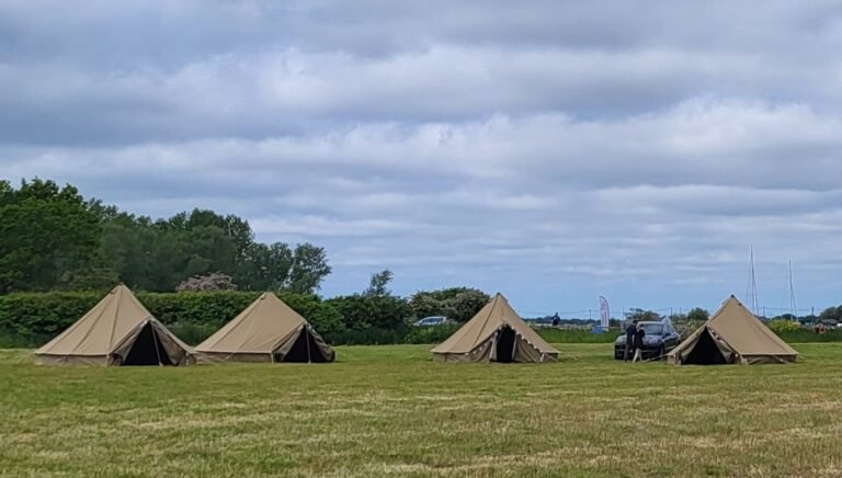 77a09e6c 8f62 4b18 ba45 b1e1d9ae0d68 768x436