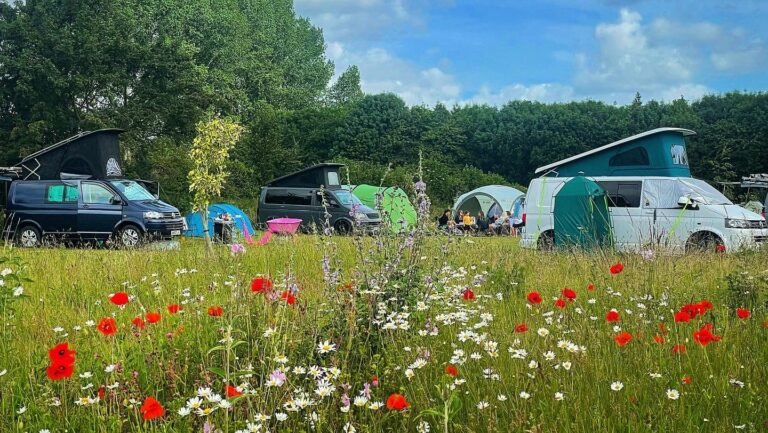 AE509565 BEE1 4991 A7C0 437D7A722922 768x433