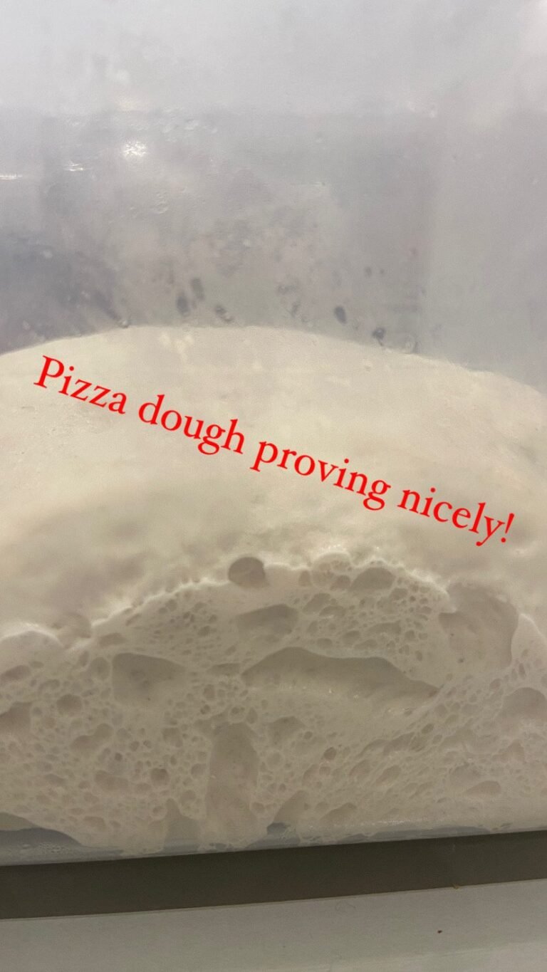 C9605918 D68E 4EF5 AC42 F75B922D2311 768x1365