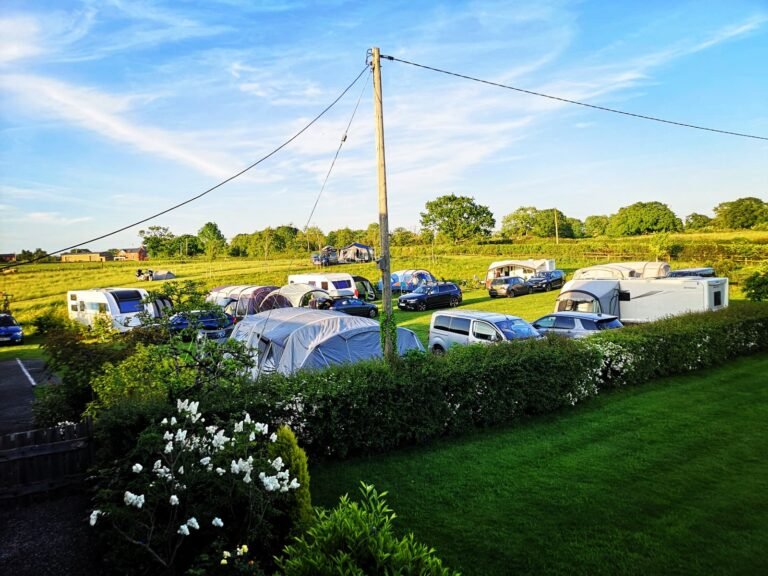 DC602FEB DA21 460F A8E5 FE20385DF1B2 768x576