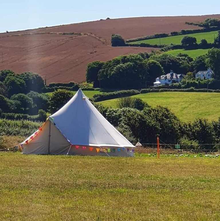 FB IMG 1659353262004 768x772