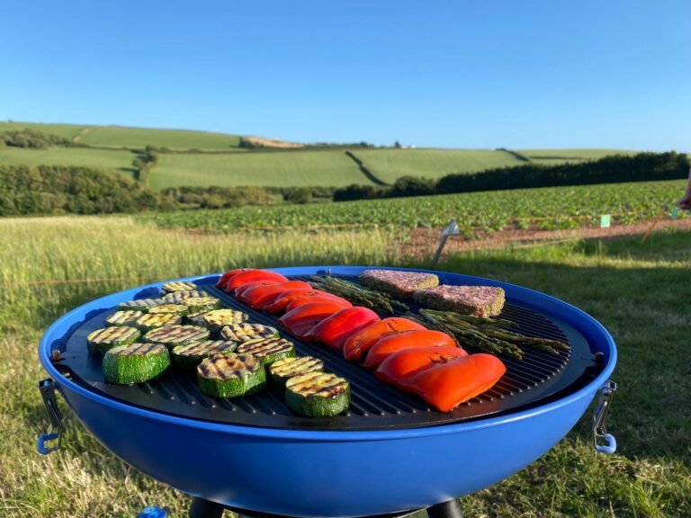 IMG 20230722 WA0009 768x576