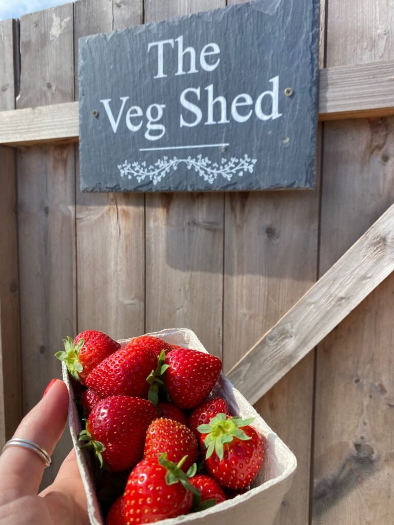 IMG 20230722 WA0014 768x1024