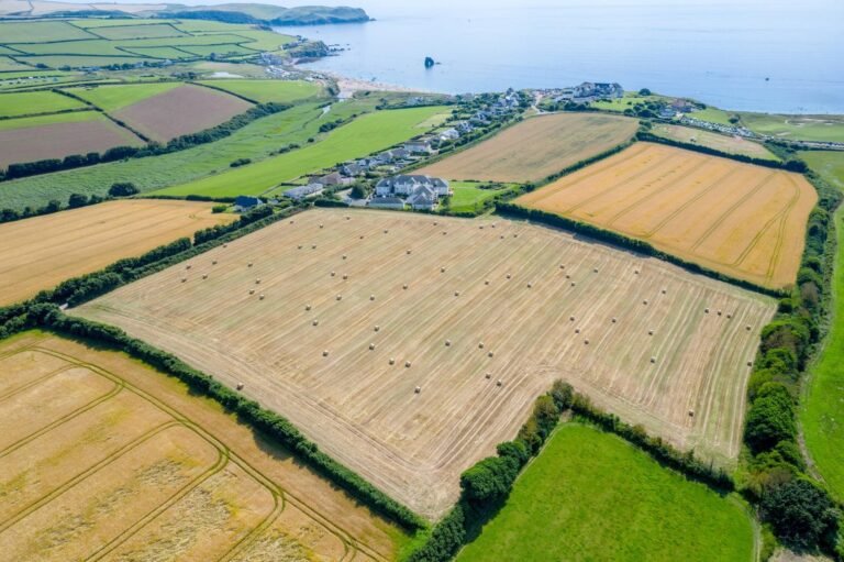 IMG 20240818 WA0005 768x511