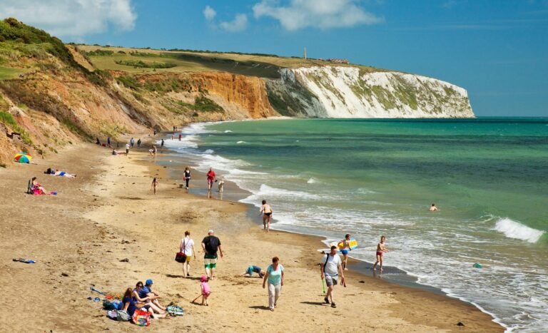 Ninham wp 1500 4 768x467