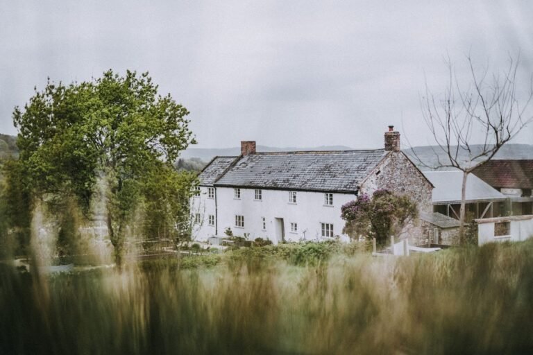 River Cottage HQ 02 768x512