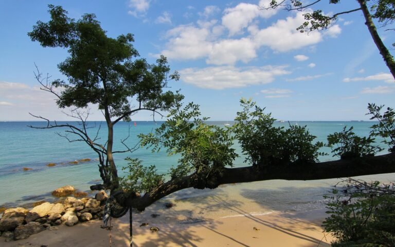 Visit Wight 14 768x480