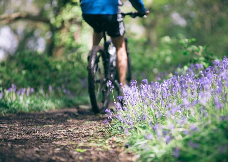 WP LRG bluebells bike 1 of 1 768x548