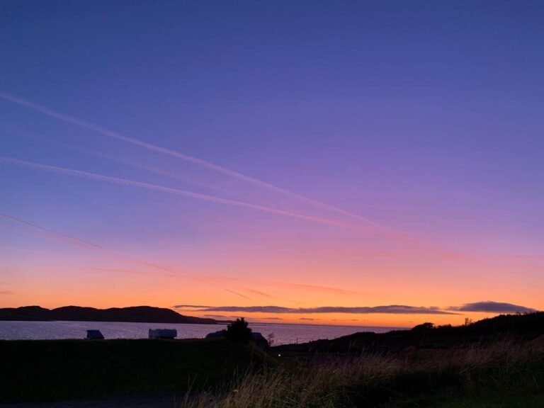 dc4391c3 0b51 46f5 9a6b e42d2e082f7d 768x576