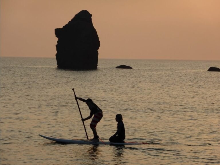 image share 654470222006 768x576