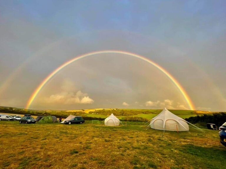 received 169988561898818 768x576