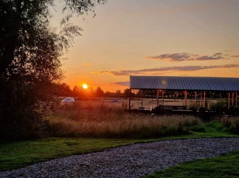 0ade2b25 797a 47a6 926f 781dd1a822c2 768x572